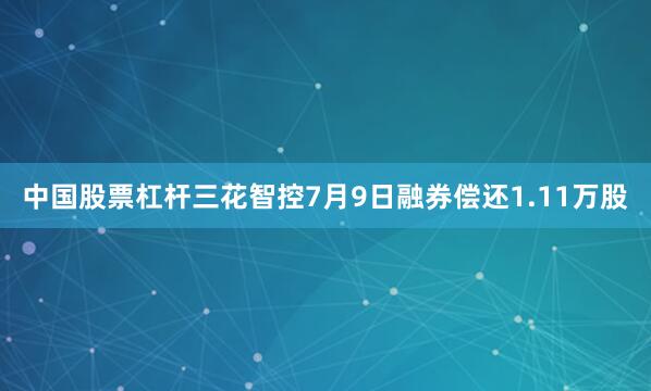中国股票杠杆三花智控7月9日融券偿还1.11万股