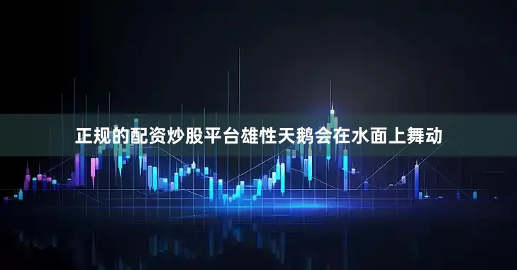 正规的配资炒股平台雄性天鹅会在水面上舞动