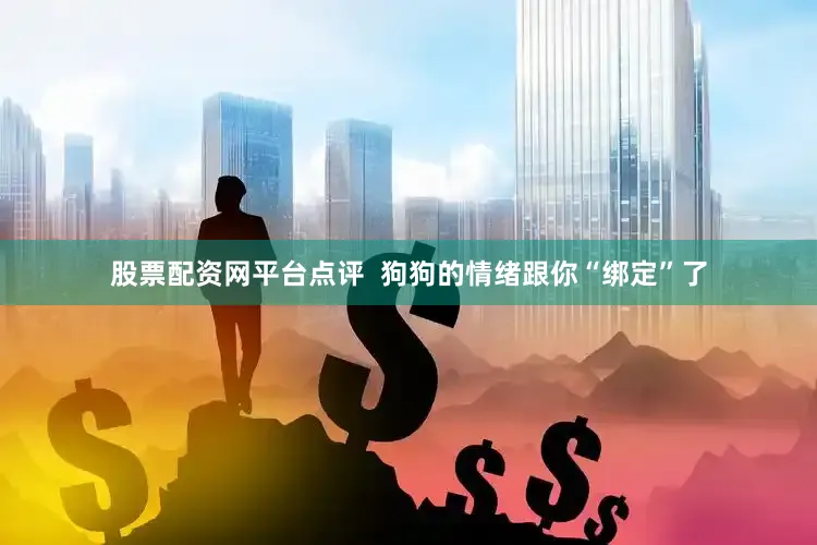 股票配资网平台点评  狗狗的情绪跟你“绑定”了