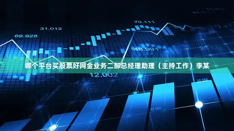 哪个平台买股票好网金业务二部总经理助理（主持工作）李某