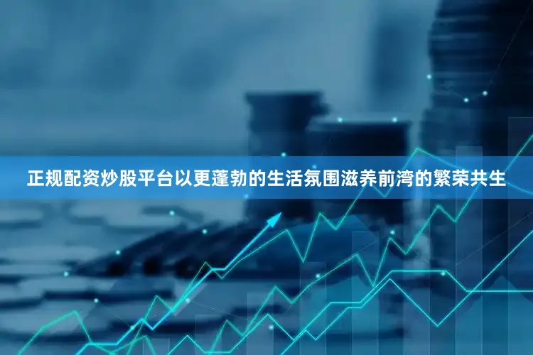 正规配资炒股平台以更蓬勃的生活氛围滋养前湾的繁荣共生