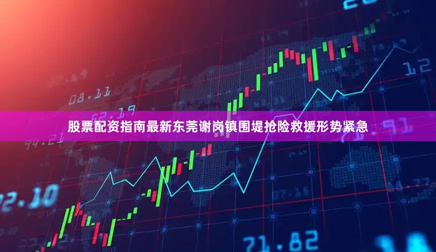 股票配资指南最新东莞谢岗镇围堤抢险救援形势紧急