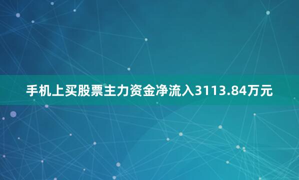 手机上买股票主力资金净流入3113.84万元