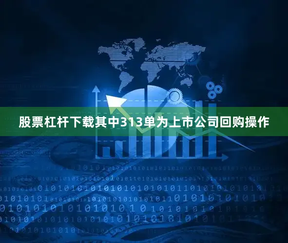 股票杠杆下载其中313单为上市公司回购操作