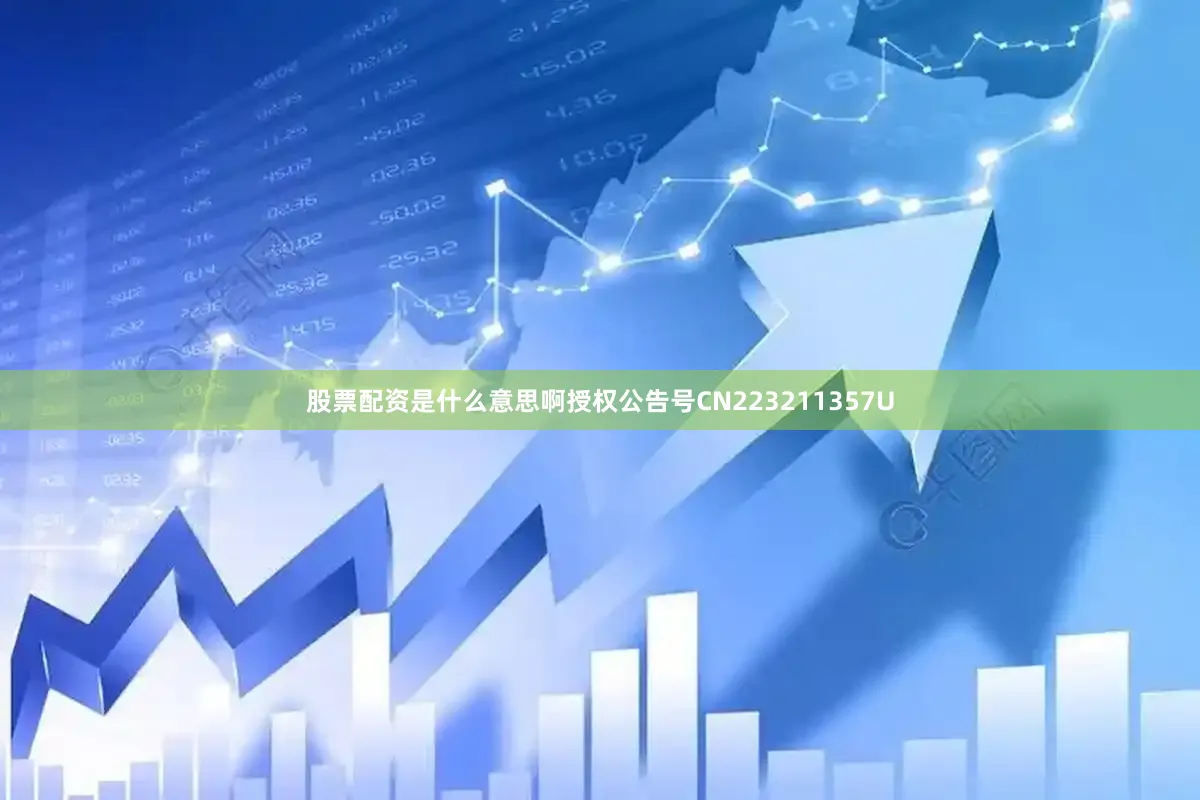 股票配资是什么意思啊授权公告号CN223211357U