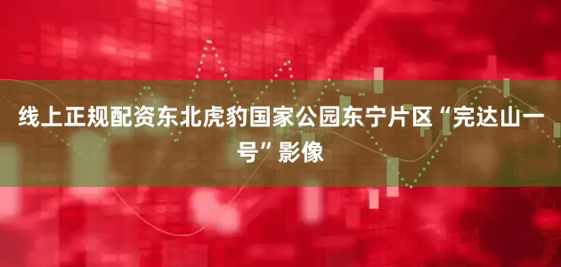 线上正规配资东北虎豹国家公园东宁片区“完达山一号”影像