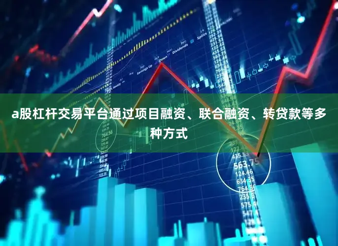 a股杠杆交易平台通过项目融资、联合融资、转贷款等多种方式